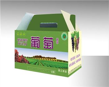 陝西(xi)包裝紙箱